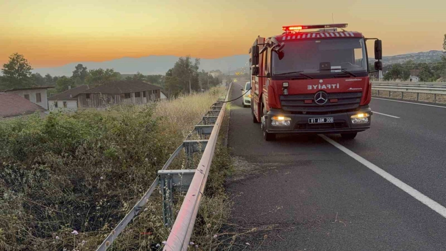 Yol Kenarına Atılan Sigara, Otları Tutuşturdu