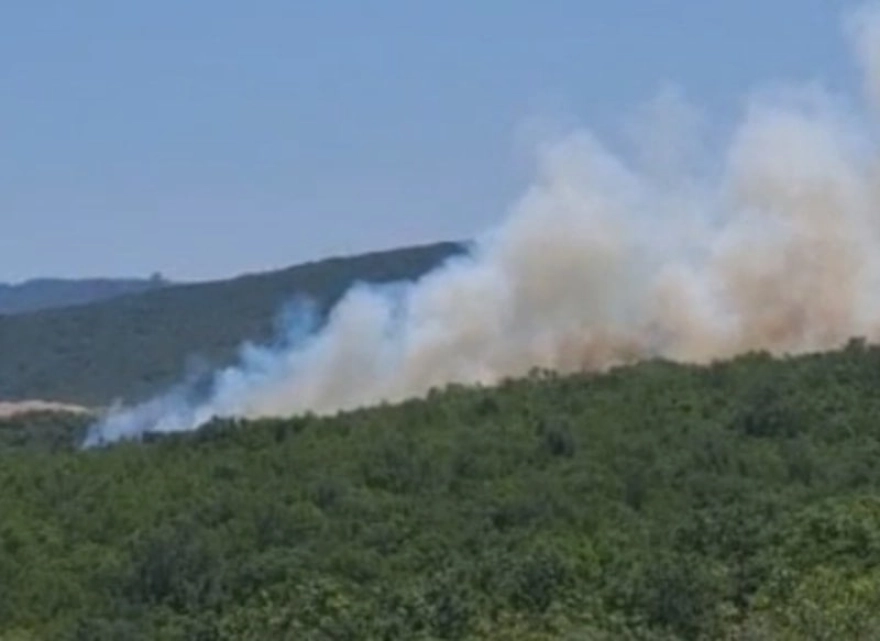 Bursa'da orman yangınına helikopterle müdahale ediliyor