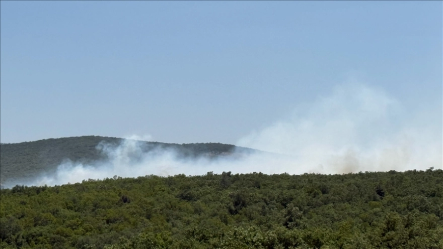 Bursa'da orman yangınına müdahale ediliyor