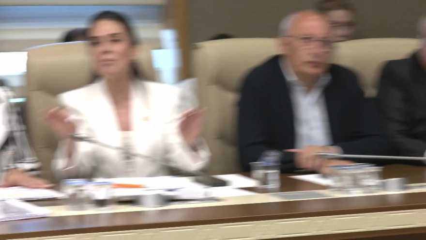 Zeytinlikleri madencilik faaliyetine açacağı gerekçesiyle eleştirilen kanun teklifinin görüşmelerinde aktivistler dinlenecek