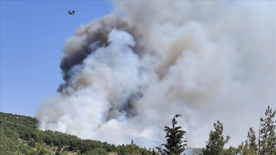 Balıkesir'deki orman yangınına müdahale sürüyor