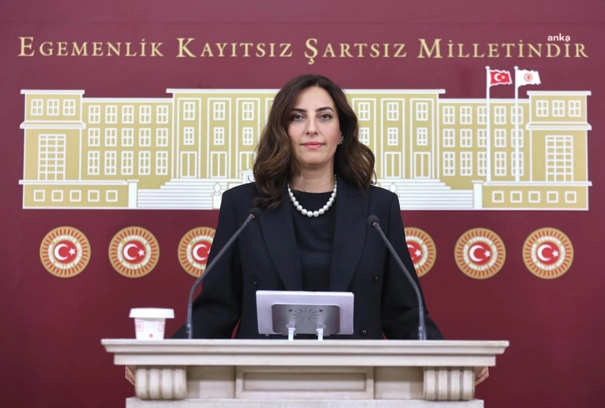 Zeytinlikleri madencilik faaliyetlerine açacak teklif Türkiye Büyük Millet Meclisi Sanayi Komisyonu'nda görüşülüyor; DEVA Partisi İstanbul Milletvekili Evrim Rızvanoğlu, bu teklifi Türkiye'yi parsel parsel ruhsatlama amacı taşıdığını belirtti.