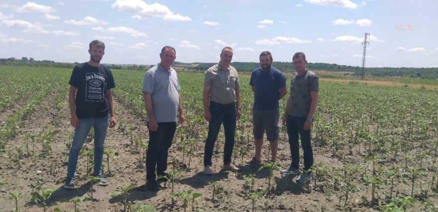 Uzunköprü'de Dolu Felaketi: 5 Bin Dekar Tarım Arazisi Zarar Gördü