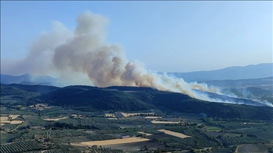 Manisa'da Kontrol Altına Alınan Orman Yangını Tekrar Başladı