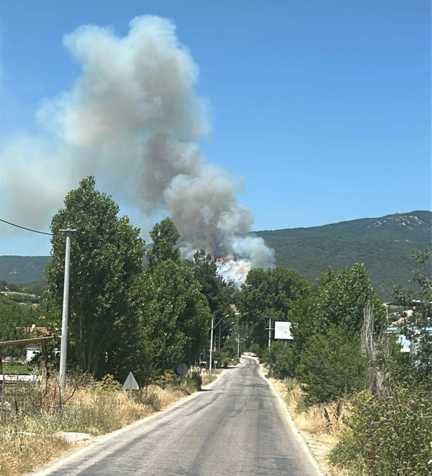Yenişehir'deki Orman Yangınına Karadan ve Havadan Müdahale Ediliyor