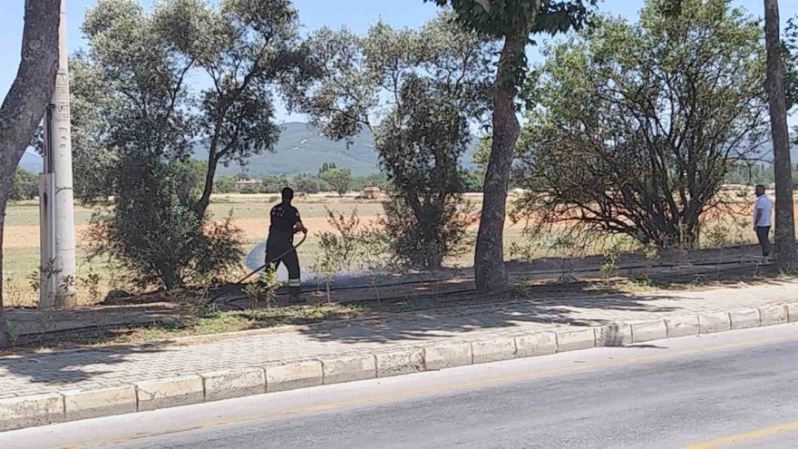 Yangın Menteşe'de Kontrol Altına Alındı