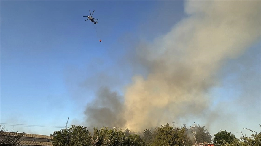 Bilecik'teki orman yangınına ekipler müdahale ediyor