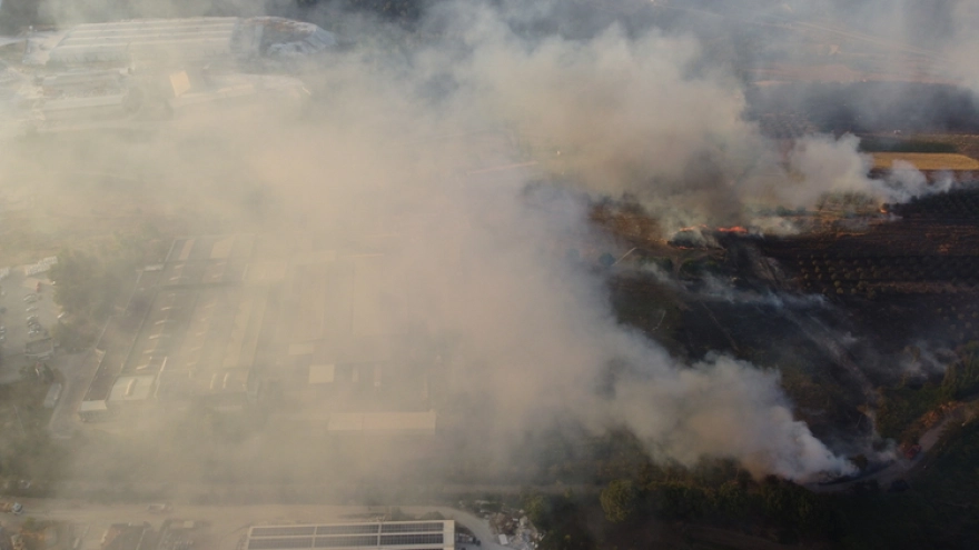 Bilecik'teki orman yangınına ekipler müdahale ediyor