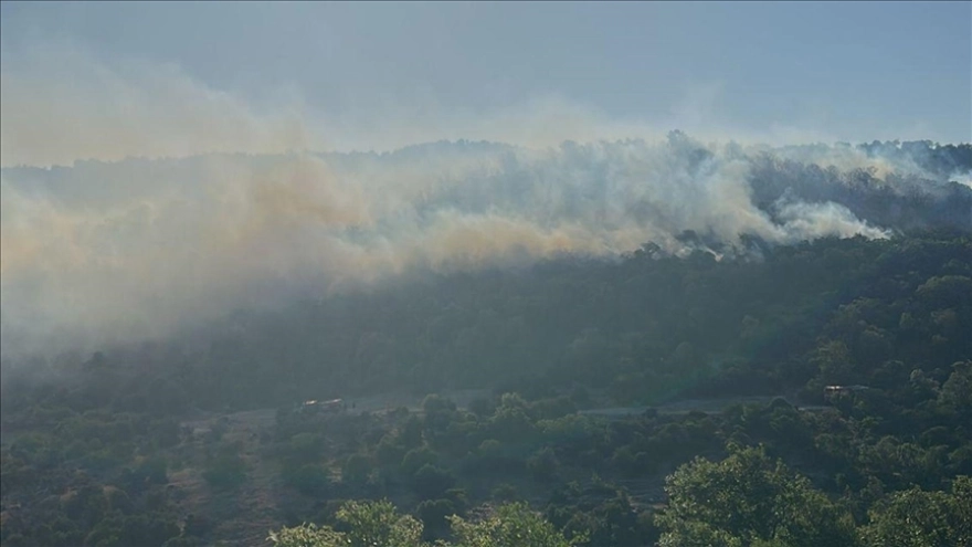 Balıkesir'deki orman yangını kontrol altına alındı