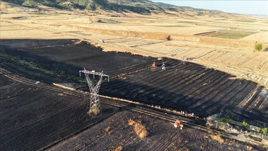 Amasya'da tarım arazisinde meydana gelen yangında yaklaşık 80 dönüm alan zarar gördü