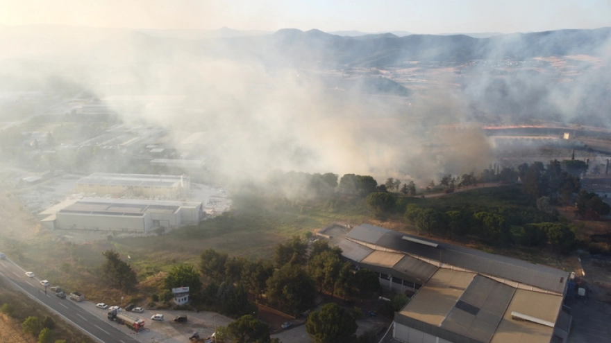 Bilecik'teki Orman Yangını Kontrol Altına Alındı