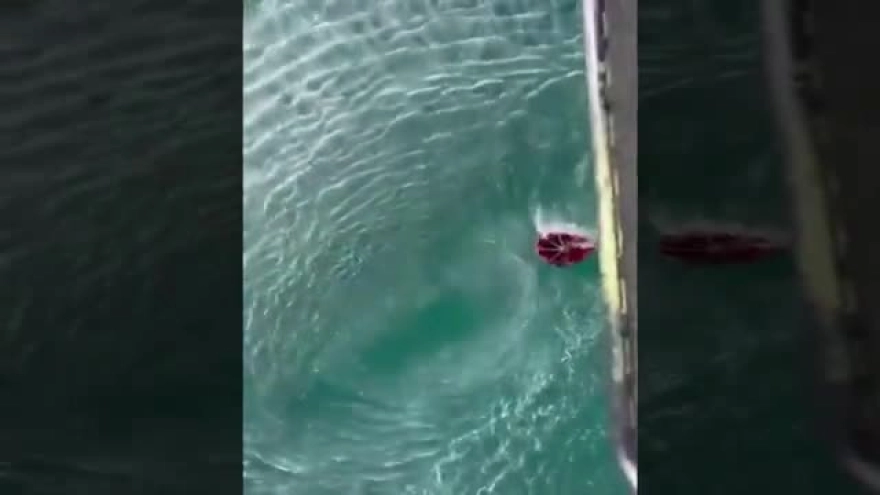 Milli Savunma Bakanlığı: Aliağa'daki orman yangınına 4 helikopterle 62 sorti müdahale edildi