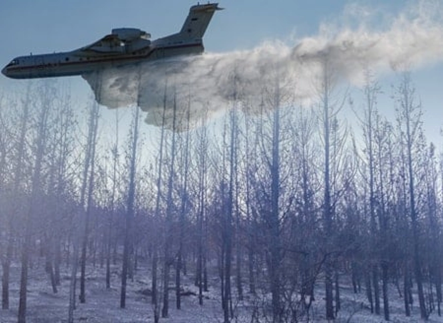 Aliağa'daki orman yangını Foça'ya yayıldı: Evler boşaltıldı, dört kişi dumandan etkilendi