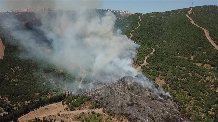 Kocaeli'de Makilik ve Ağaçlık Alanda Yangınla Mücadele Ediliyor