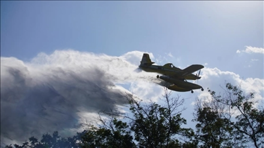 Edirne'de orman yangını denetim altına alındı