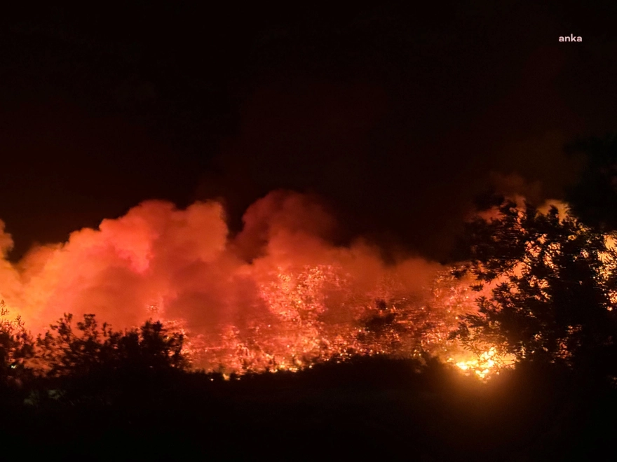 Aliağa'daki orman yangını 4 saati geride bıraktı: Müdahale devam ediyor, bir şüpheli gözaltına alındı