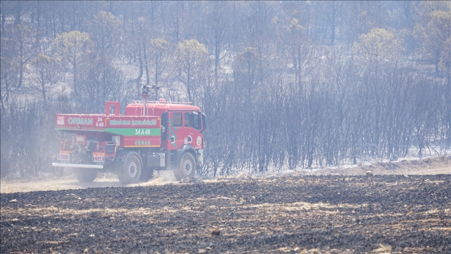 Tekirdağ'daki Orman Yangınına Havadan ve Karadan Müdahale Ediliyor