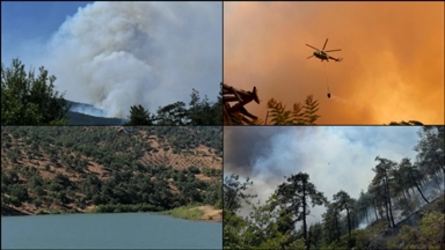 47 İlde Ormanlara Giriş Yasaklandı: Yangın Riskine Karşı Önlemler Artırıldı