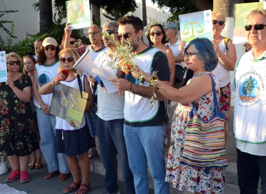 Bodrum'da zeytinlikler için eylem gerçekleştirildi