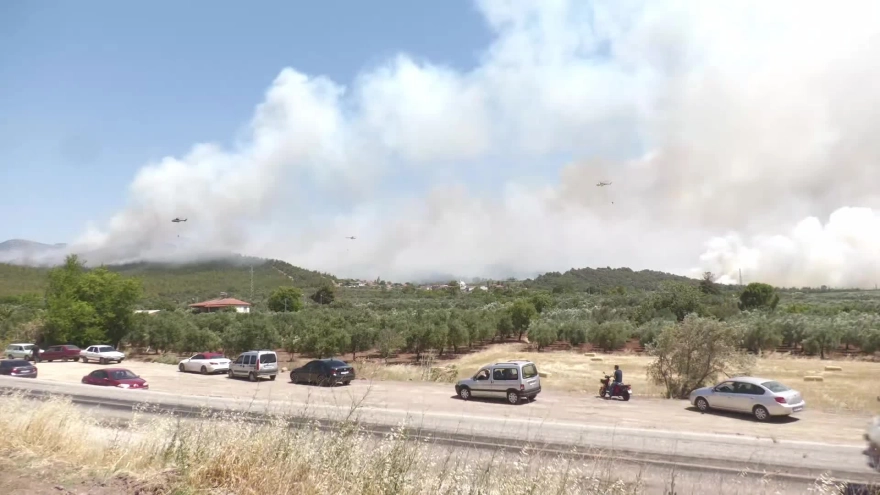 Manisa Akhisar'da orman yangını: Tahliyeler başladı, yangına müdahale devam ediyor