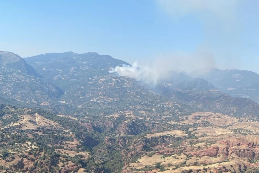 Aydın'ın Efeler ilçesindeki orman yangını kısmen kontrol altında