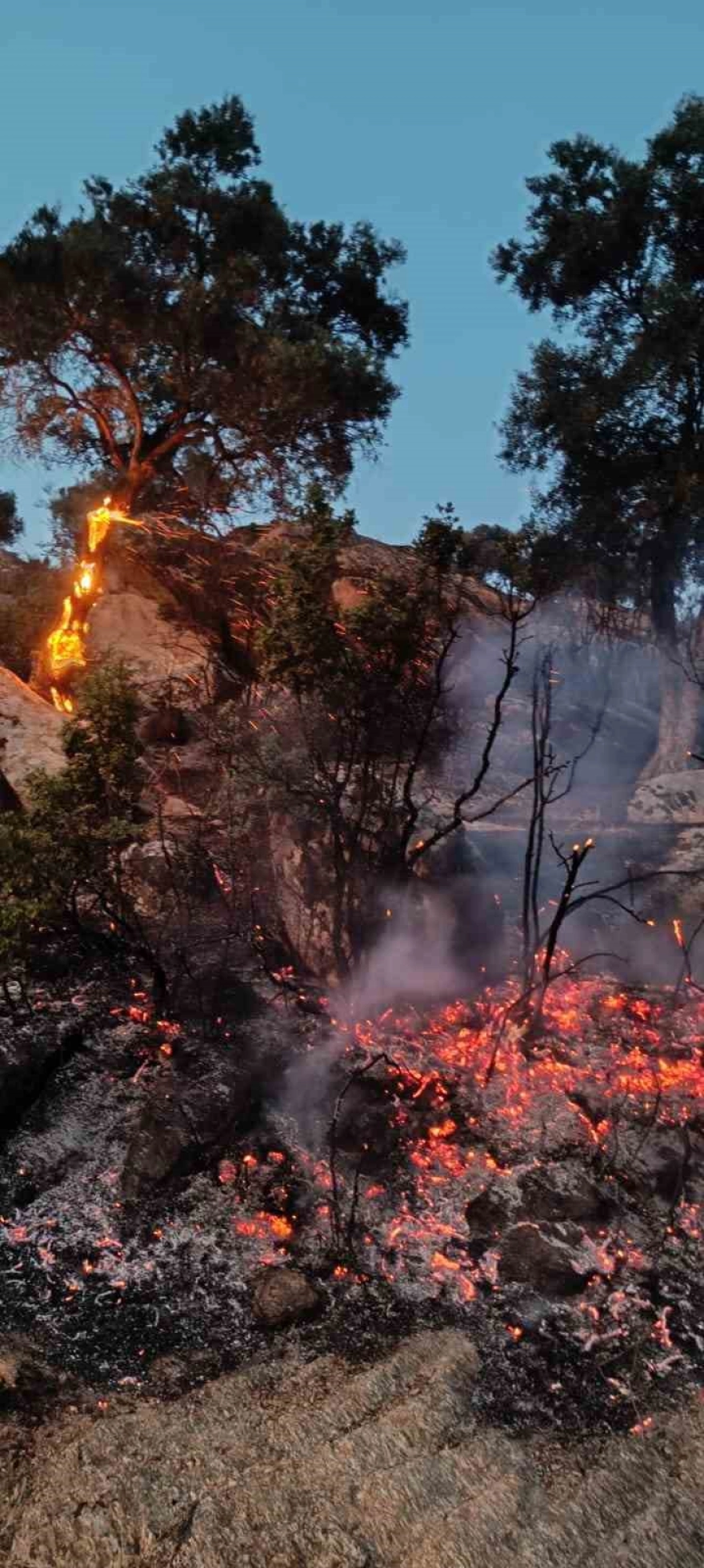 Bozdoğan'daki makilik yangınına güçlü müdahale