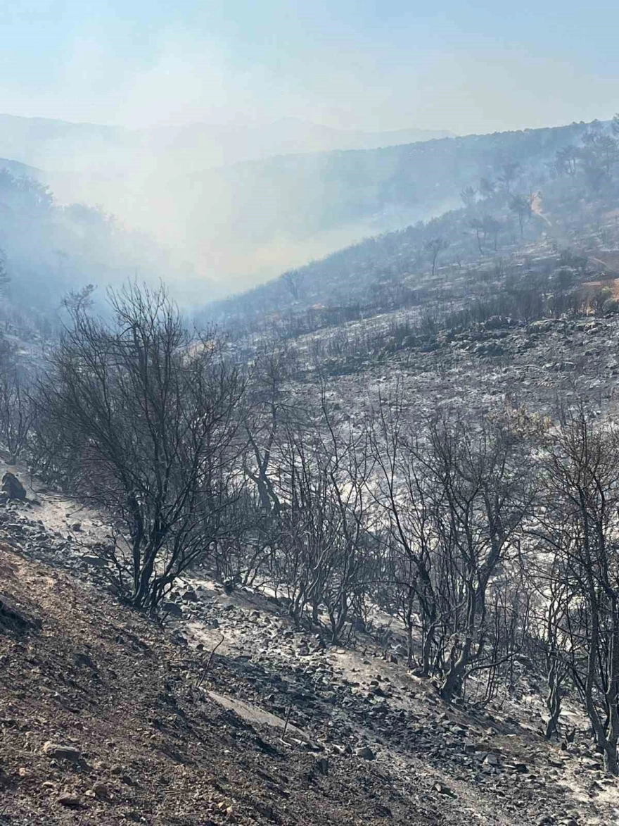 Gaziantep'teki Orman Yangını Yedi Saatte Kontrol Altına Alınarak Söndürüldü