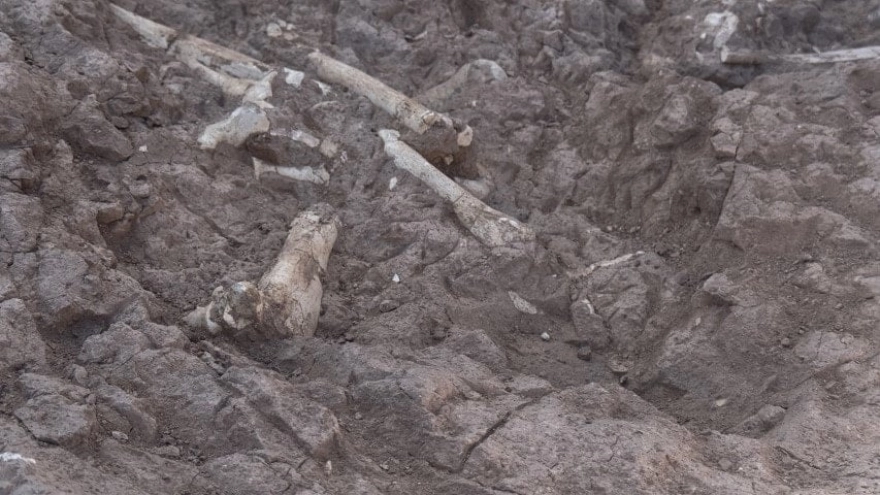 Keçi çobanının tesadüfi keşfi, bilim dünyasını harekete geçirdi!