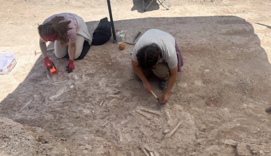Keçi çobanının keşfettiği fosil alanı bilim dünyasını harekete geçirdi