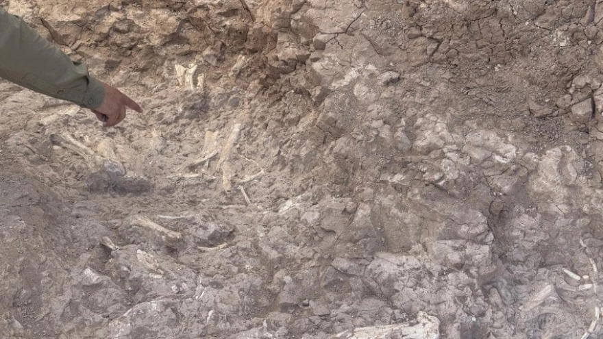 Keçi çobanının keşfettiği fosil alanı bilim dünyasını harekete geçirdi