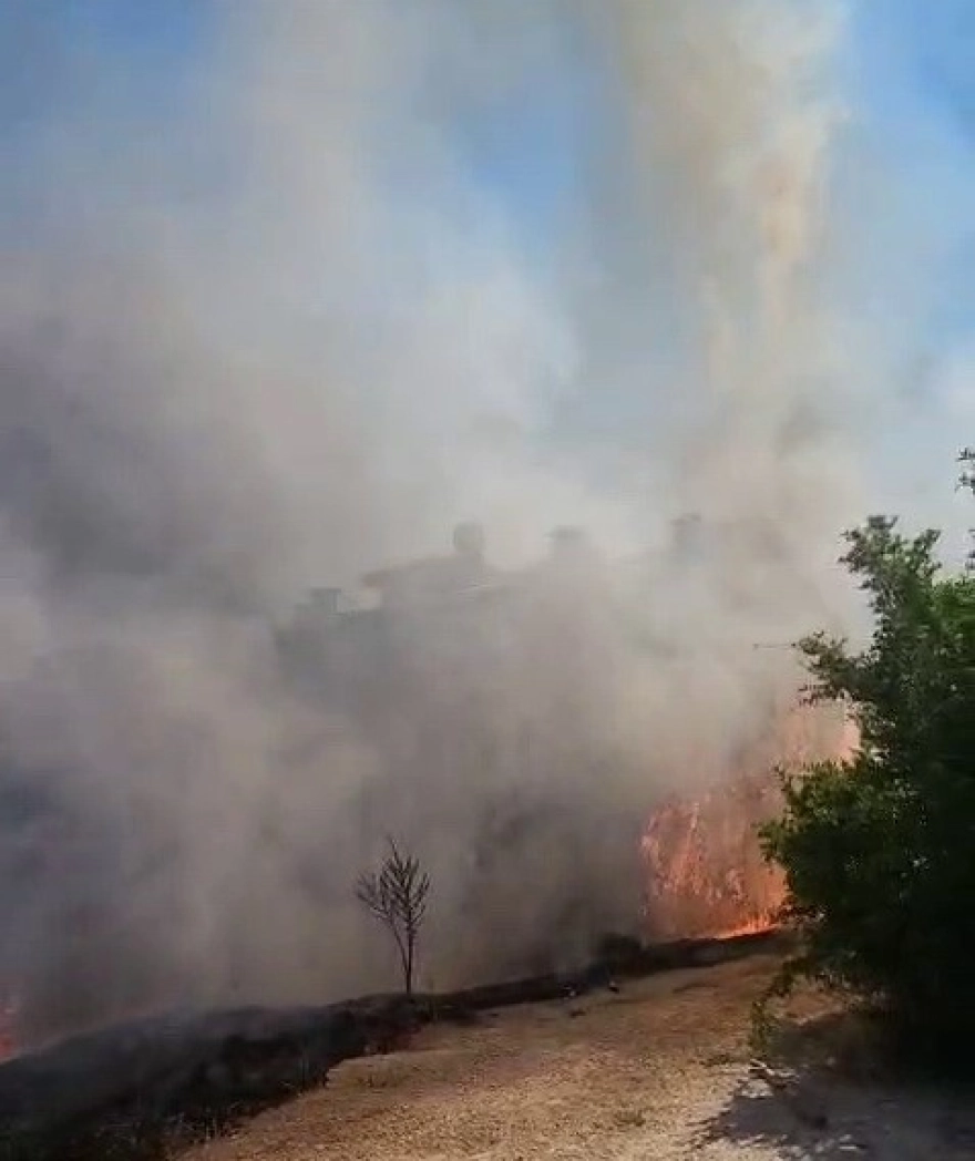 Ağaçlar tamamen yandı