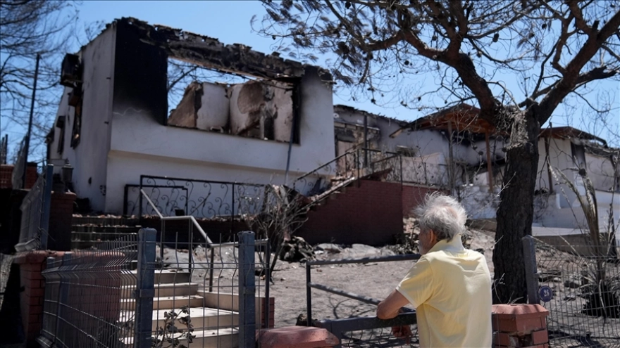 İzmir'in Seferihisar ve Menderes İlçelerindeki Orman Yangınlarından Sonra Bölgede Siyah Bir Örtü Oluştu