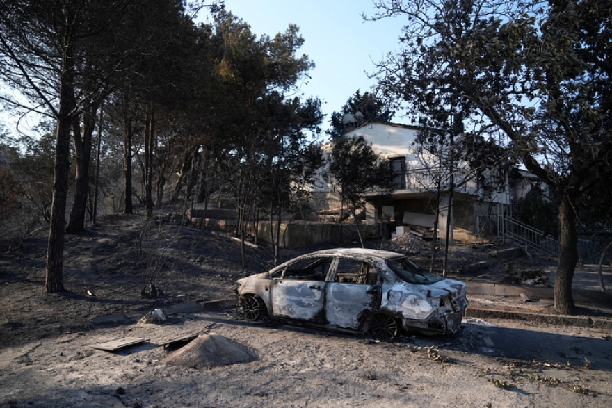 İzmir'deki orman yangınları sonrası hasar tespit çalışmaları tamamlandı