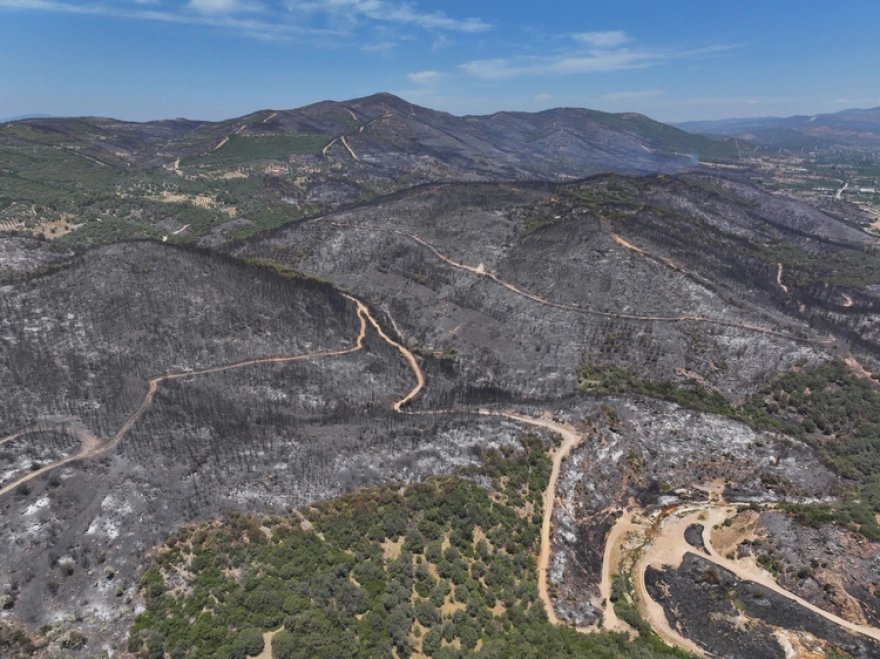 İzmir'deki orman yangınları sonrası hasar tespit çalışmaları tamamlandı
