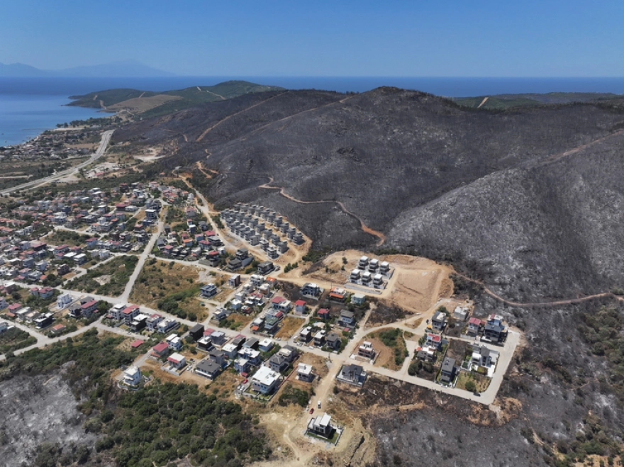 İzmir'deki orman yangınları sonrası hasar tespit çalışmaları tamamlandı