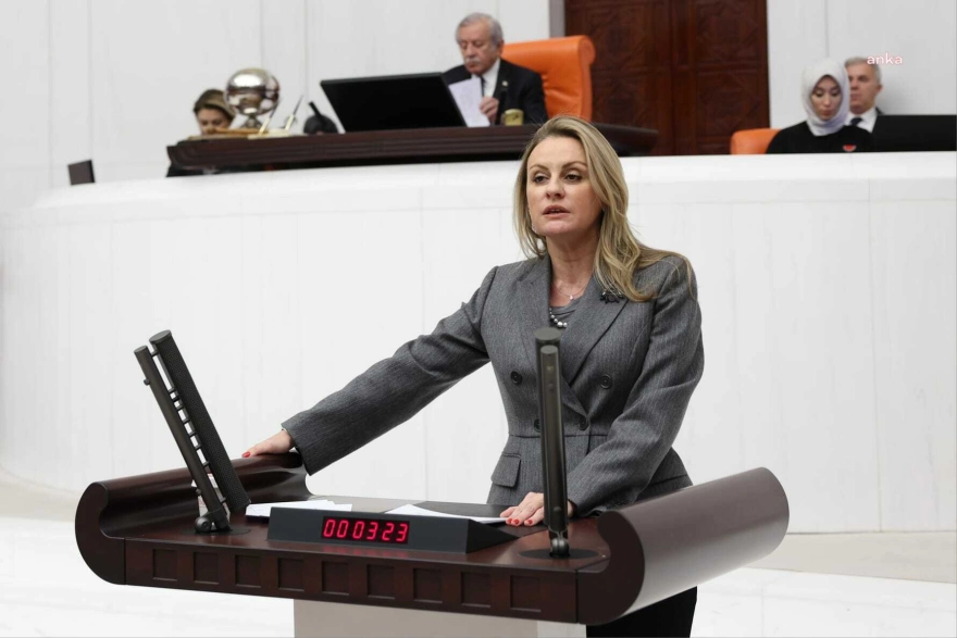 CHP İzmir Milletvekili Seda Kaya Ösen, İzmir'deki orman yangınlarını Türkiye Büyük Millet Meclisi'ne taşıdı.