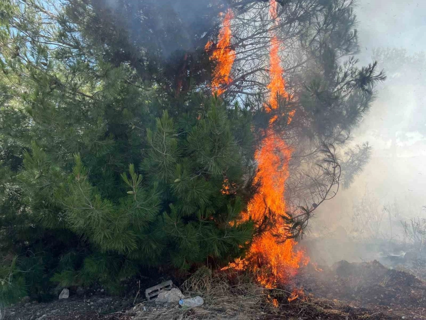 Çeşme ve Ödemiş Yangınlarında Müdahale Devam Ediyor, İyiye Gidiyor