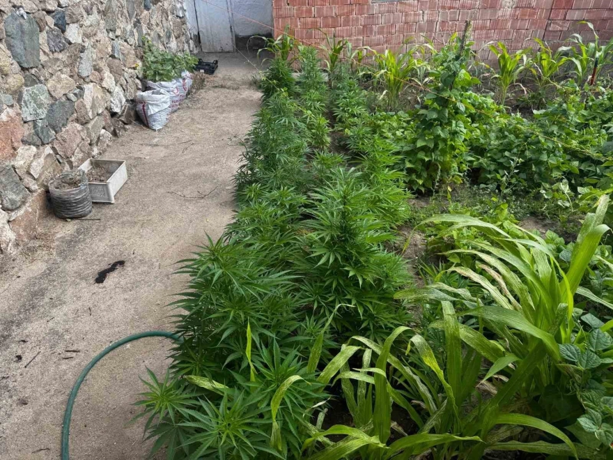 Kırıkkale'de uyuşturucu operasyonu: Aynı aileden 3 şüpheli gözaltına alındı