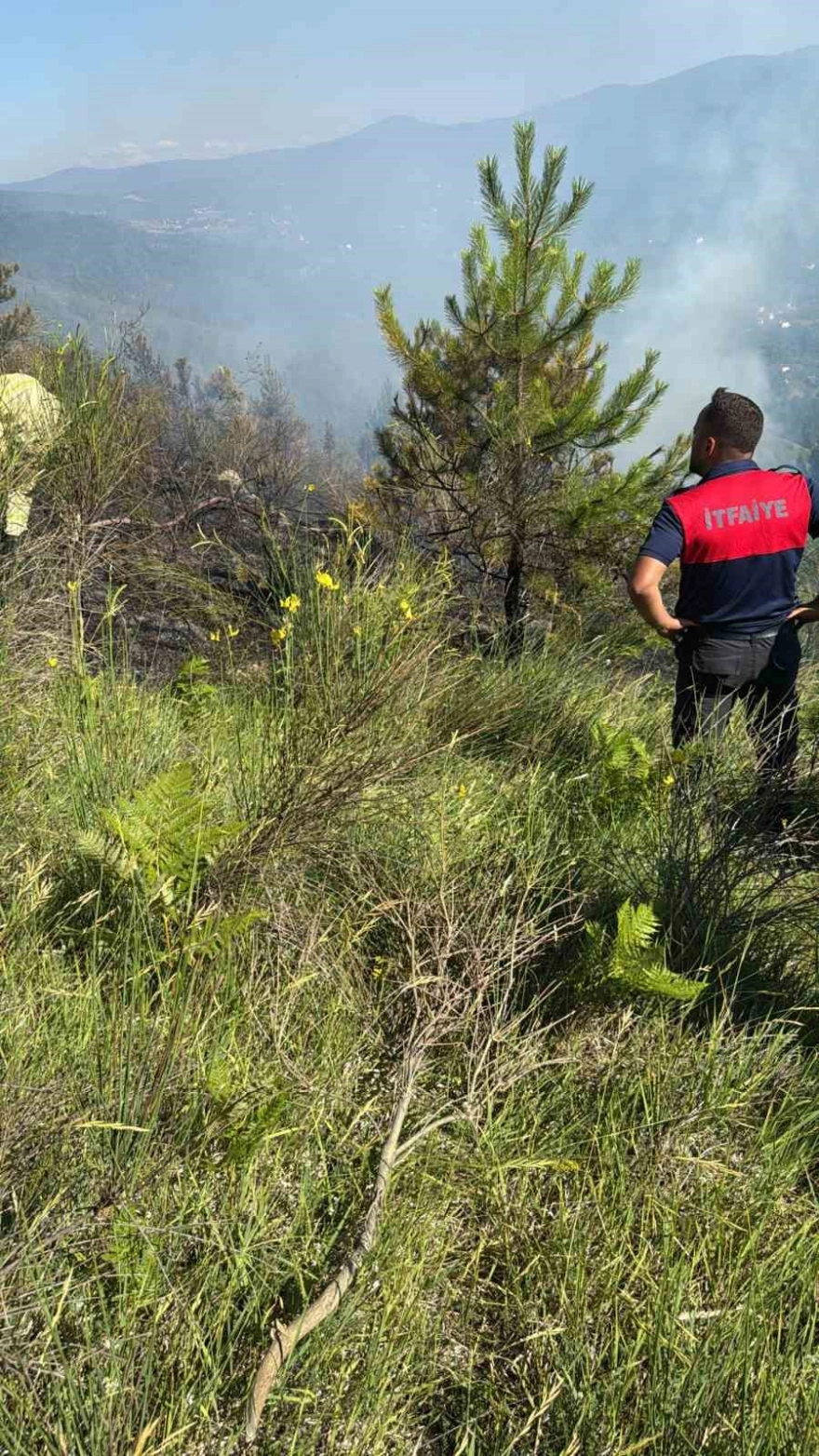 Sinop'ta orman yangını büyümeden kontrol altına alındı