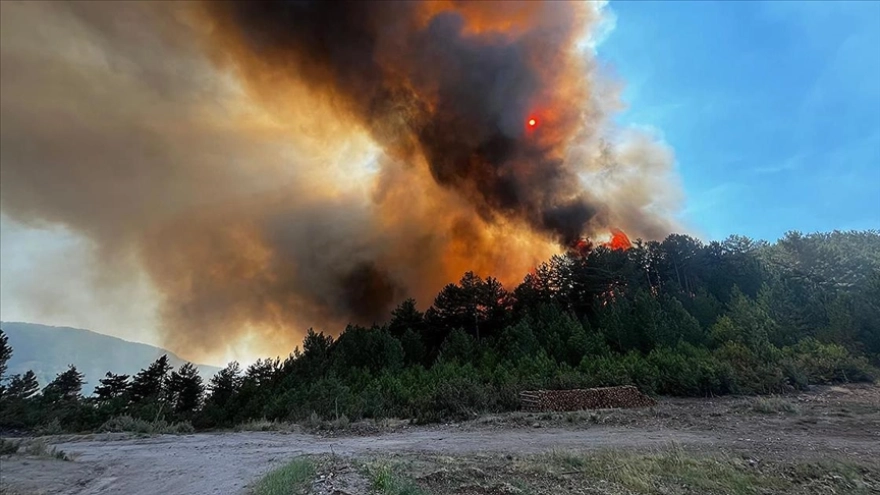 Balıkesir'deki Orman Yangınına Müdahale Sürüyor
