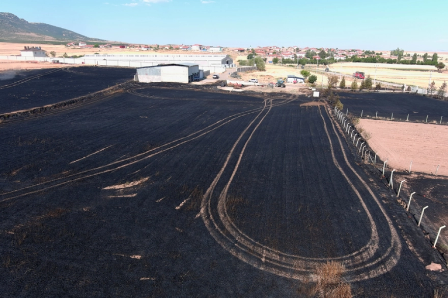 Kütahya'da Yaklaşık 800 Dekarlık Ekili Alan Yangında Zarar Gördü