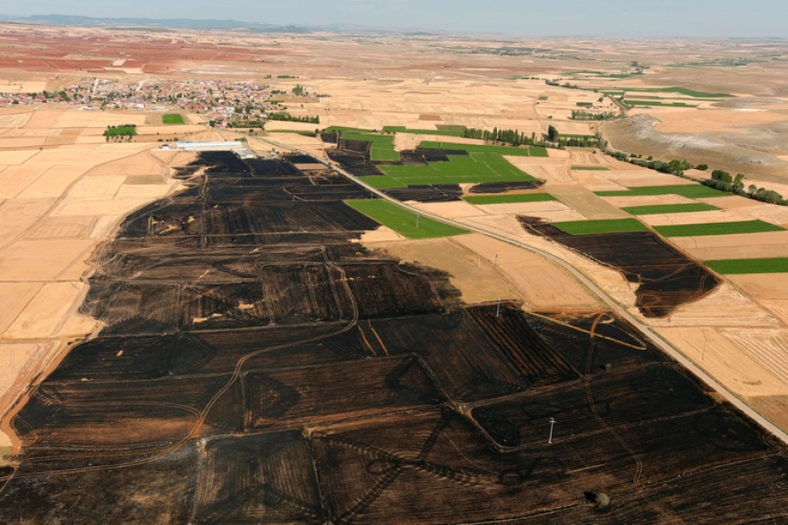 Kütahya'da Yaklaşık 800 Dekarlık Ekili Alan Yangında Zarar Gördü