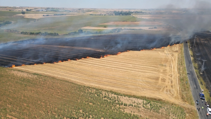 Yangın, Tekirdağ'daki Tarım Alanında Başladı ve Kontrol Altına Alındı
