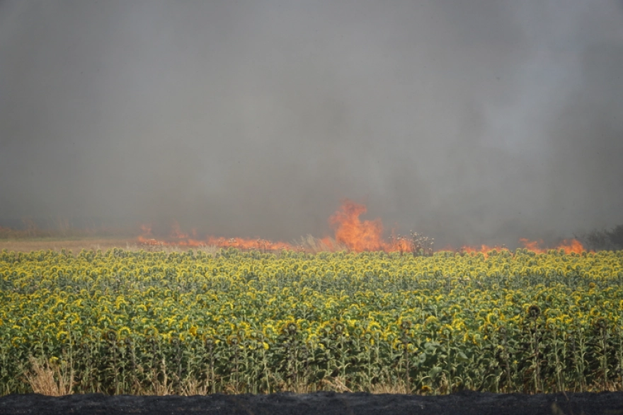 Yangın, Tekirdağ'daki Tarım Alanında Başladı ve Kontrol Altına Alındı