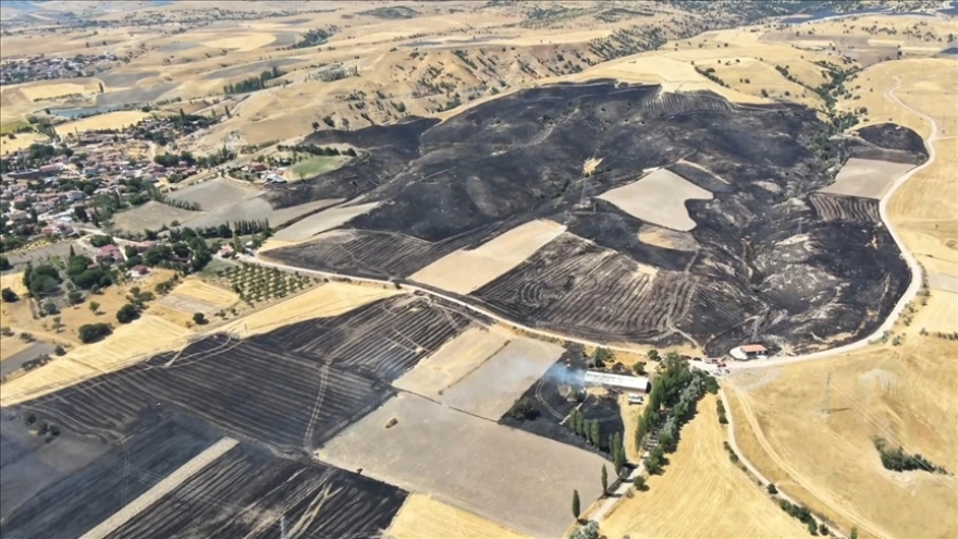 Amasya'da tarım arazisinde meydana gelen yangında yaklaşık 500 dönüm alan etkilendi