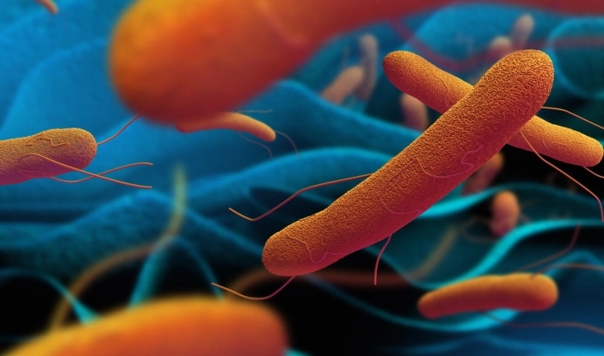 Antibiyotik Direnci Artarsa Büyük Bir Sağlık Krizi Yaşanabilir