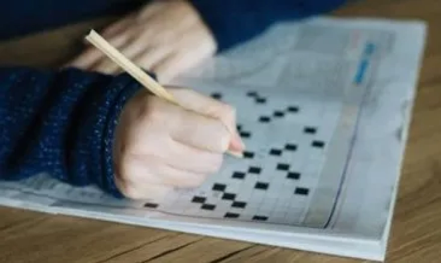 Bulmacalarda Karşılaşılan Bir Doğan Türü ve 8 Harfli Yanıtı