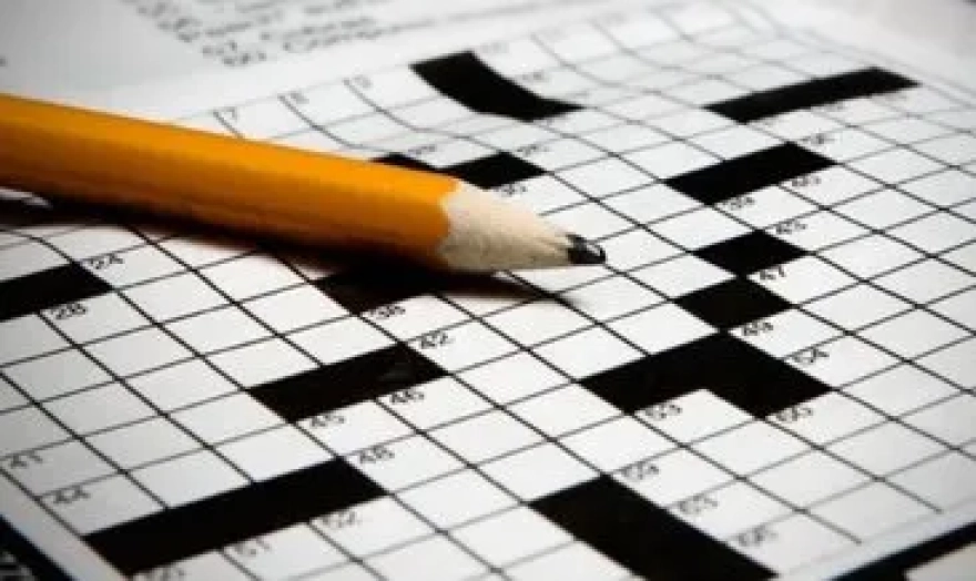 Bulmacada 'Bir Tozluk Türü' Sorusu ve Yanıtı