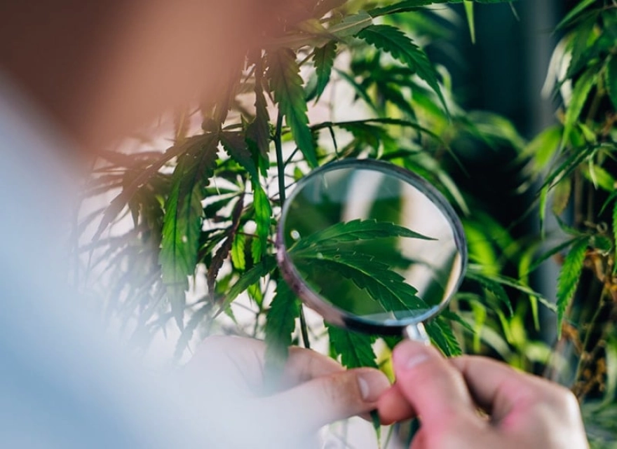 Türkiye Afganistan'a mı Dönüşüyor?