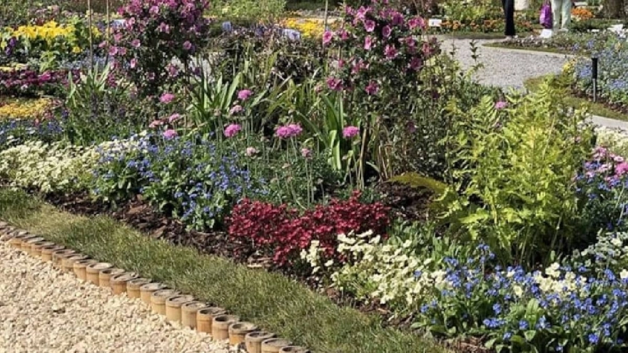 Bahçıvanlar Sıvı Altın Diyor: Çay ile Çiçek ve Ağaçlar Şahlanıyor